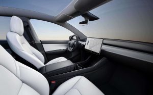 Tesla Model Y LLD