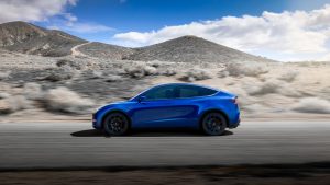 Model Y LLD